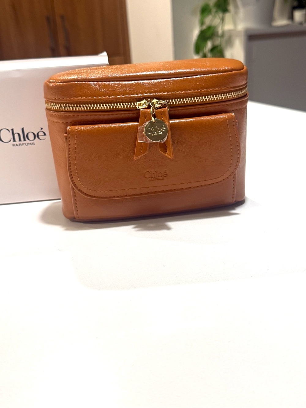 Chloe Tan Vanity Case with Gold Hardware